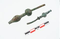 Foto von Bronzegewandnadelspitzenschoner (NHMW-PRAE-026596)